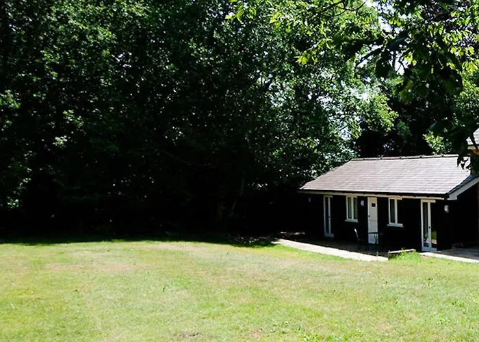 Cottage Surrounded By Woodland And Vineyards.